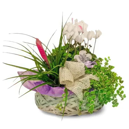 Palmanova bloemen bloemist-  Boeket/bloemstuk