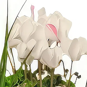 Sa Indioteria blomster- Frukt sjarm Blomsterarrangementer bukett