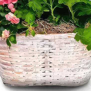 Sa Indioteria blomster- Elegant omfavnelse Blomsterarrangementer bukett