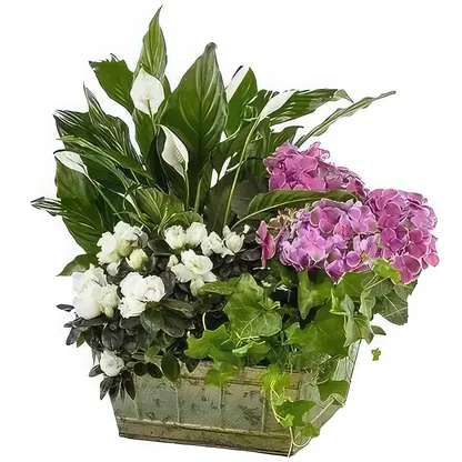 Palmanova bloemen bloemist-  Boeket/bloemstuk