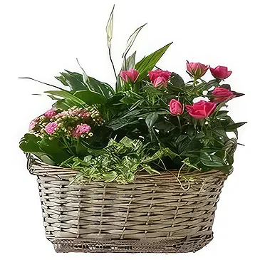 Sa Indioteria blomster- Pine Harmony Blomsterarrangementer bukett