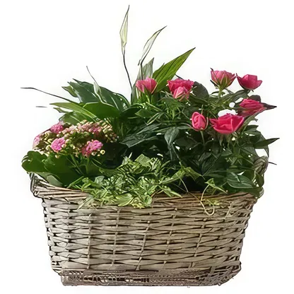 Palmanova bloemen bloemist-  Boeket/bloemstuk