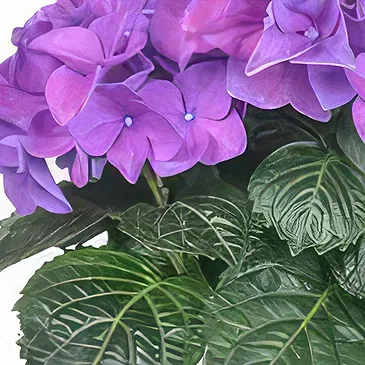 Sa Indioteria blomster- Ivy Insight Blomsterarrangementer bukett