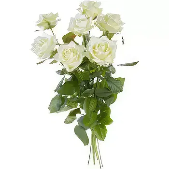 Switzerland flowers  -  Single White Roses Flower Delivery