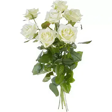 Ipsach Blumen Florist- Einzelne weiße Rosen Bouquet/Blumenschmuck