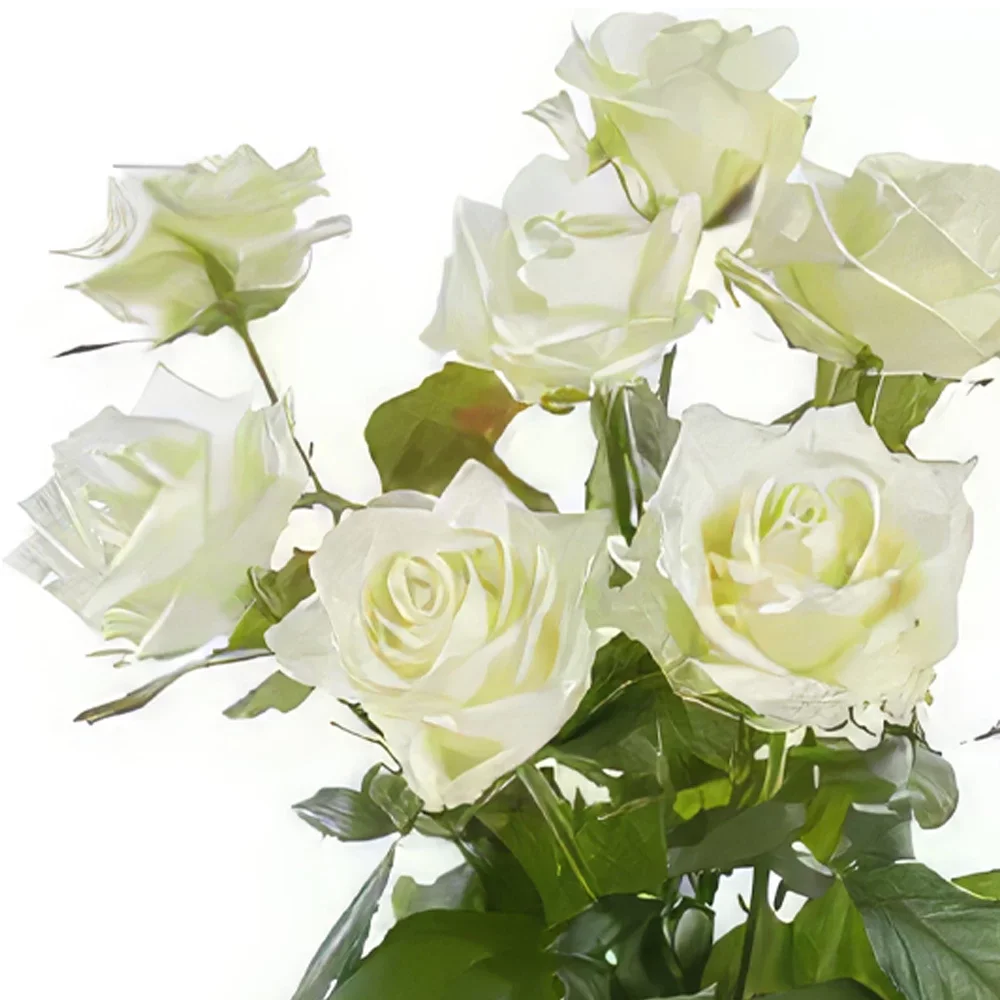 Женева цветы- Одиночные белые розы Цветочный букет/композиция