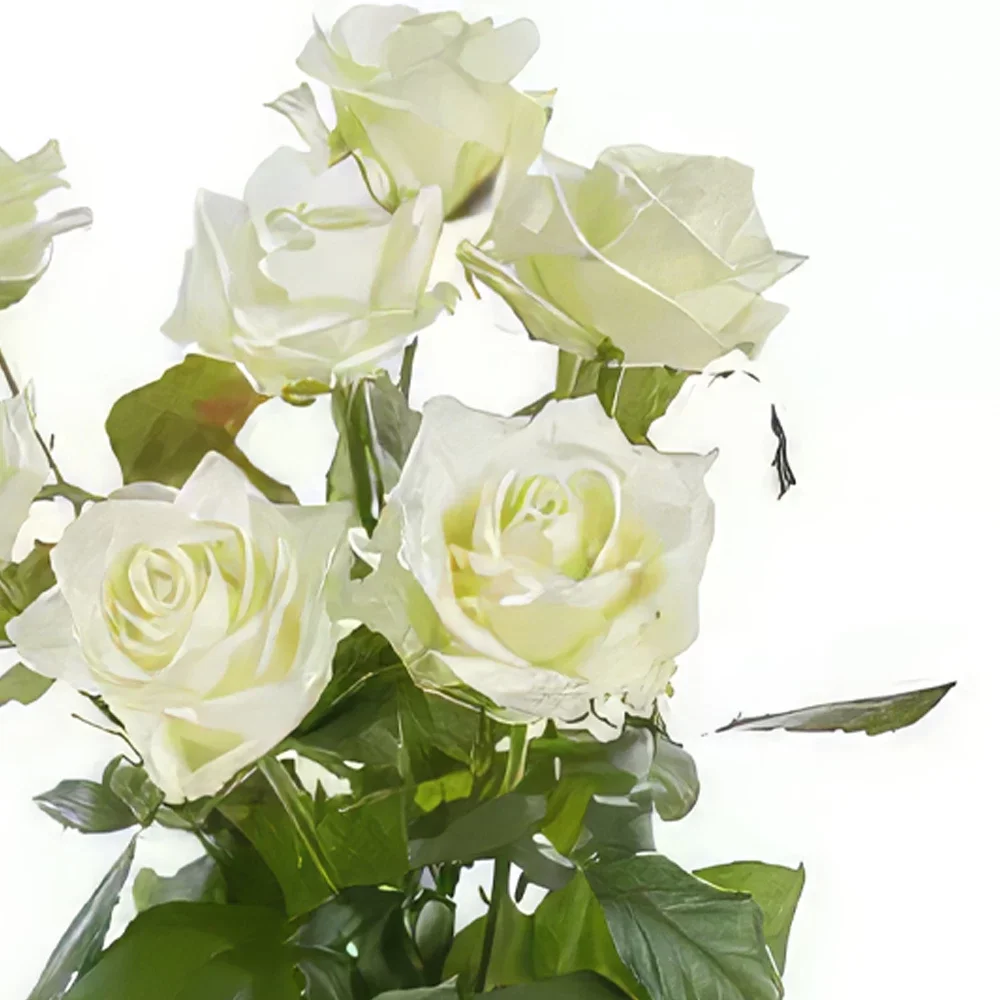 Geneva flowers  -  Single White Roses Flower Bouquet/Arrangement