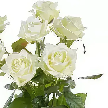 Ipsach Blumen Florist- Einzelne weiße Rosen Bouquet/Blumenschmuck