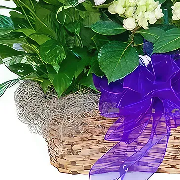 Sa Indioteria blomster- Cactus Coolness Blomsterarrangementer bukett