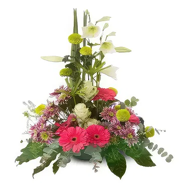 Sa Indioteria blomster- Hagesymfonisamling Blomsterarrangementer bukett
