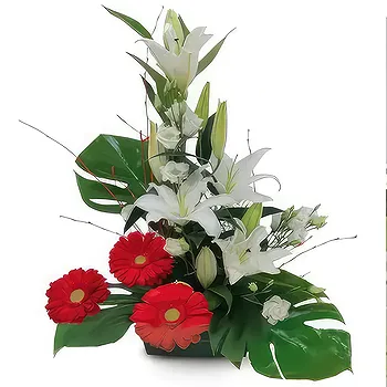 Sa Indioteria blomster- Petal Paradise-kurv Blomst Levering