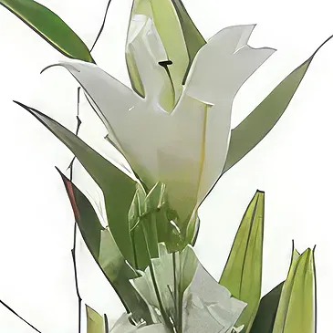 Sa Indioteria blomster- Petal Paradise-kurv Blomsterarrangementer bukett