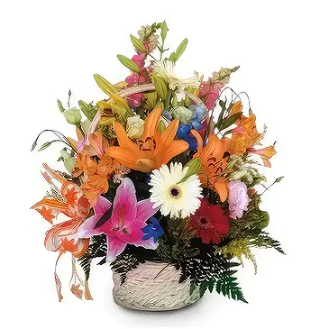 Sa Indioteria blomster- Radiant Ensemble Blomsterarrangementer bukett