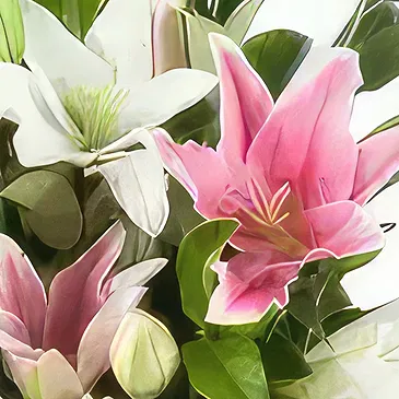 Sa Indioteria blomster- Rolig utvalg Blomsterarrangementer bukett