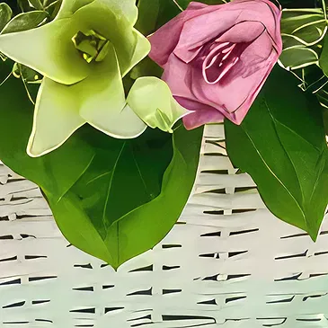 Sa Indioteria blomster- Eleganse kurv Blomsterarrangementer bukett