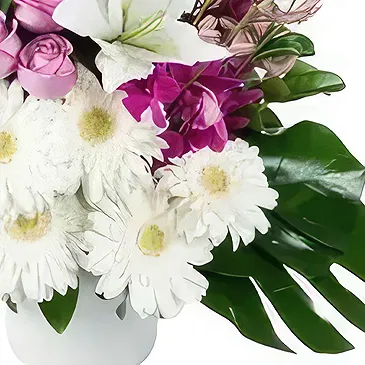 Sa Indioteria blomster- Kronbladpalett Blomsterarrangementer bukett