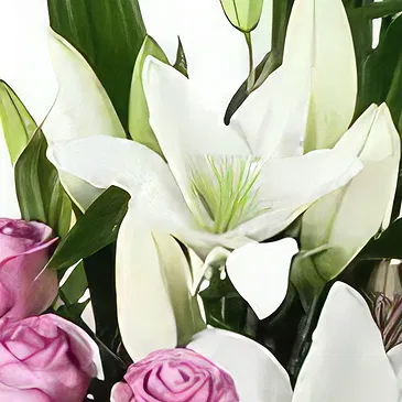 Sa Indioteria blomster- Kronbladpalett Blomsterarrangementer bukett