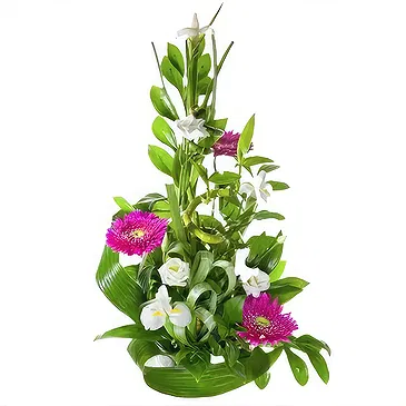 Sa Indioteria blomster- Floral Fusion Hub Blomsterarrangementer bukett