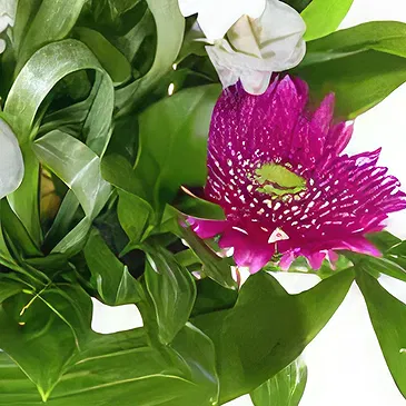 Sa Indioteria blomster- Floral Fusion Hub Blomsterarrangementer bukett
