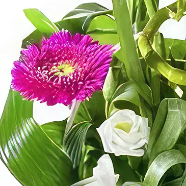 Sa Indioteria blomster- Floral Fusion Hub Blomsterarrangementer bukett