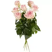 Geneva online Florist - Single Pink Roses Bouquet