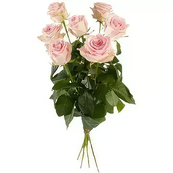 Switzerland flowers  -  Single Pink Roses Flower Delivery