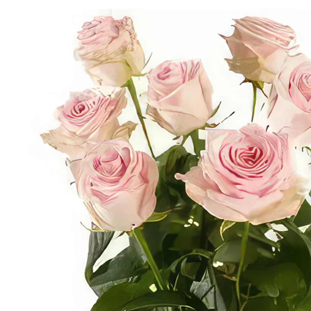 Βέρνη λουλούδια- Ενιαία ροζ τριαντάφυλλα Μπουκέτο/ρύθμιση λουλουδιών