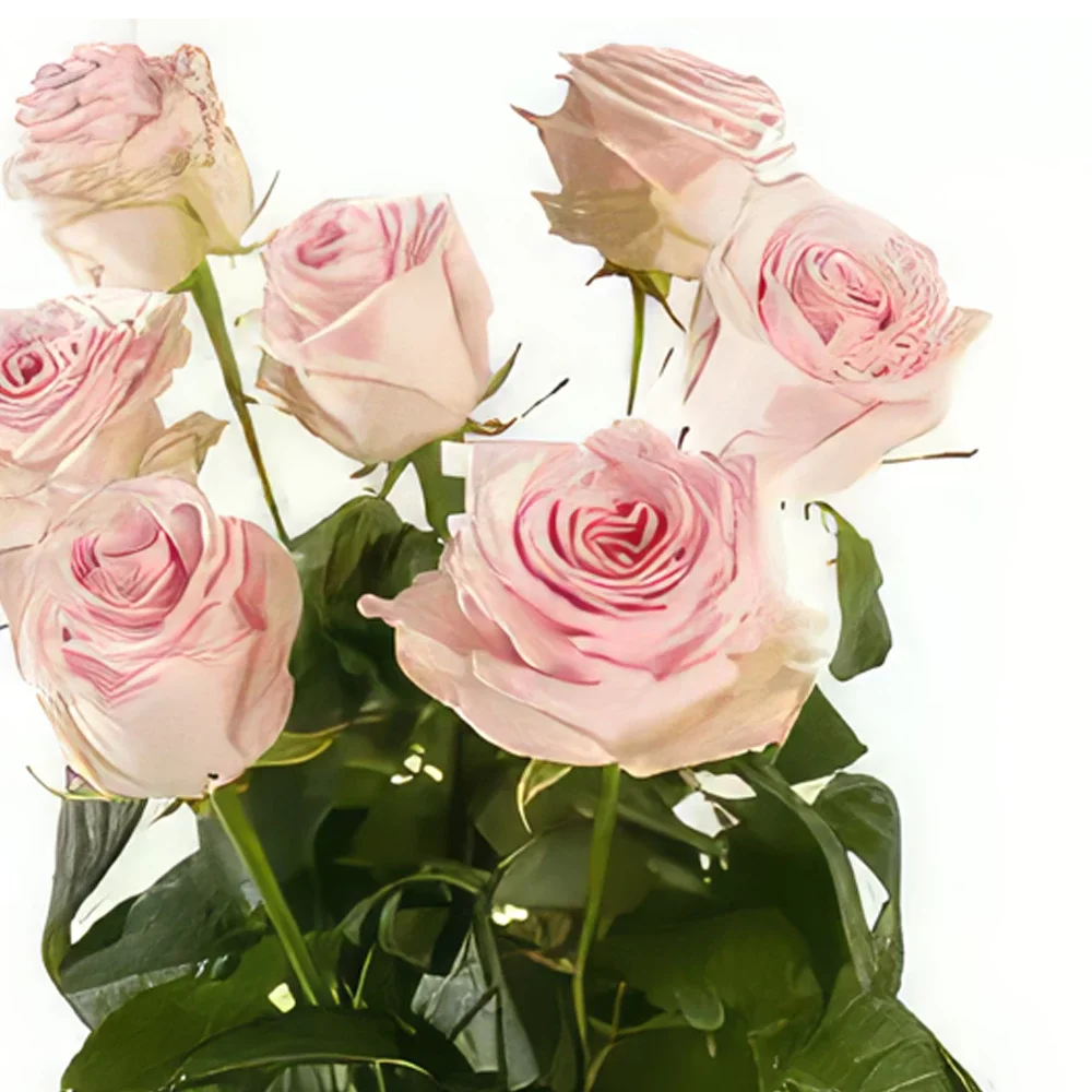 Geneve cvijeća- Single Pink Roses Cvjetni buket/aranžman