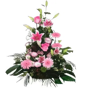 Sa Indioteria blomster- Fresh Opulence Outlet Blomst Levering