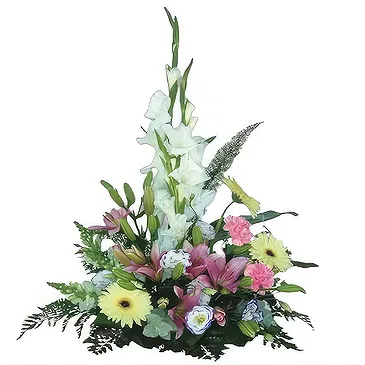 Sa Indioteria blomster- Divine Daisy Depot Blomsterarrangementer bukett