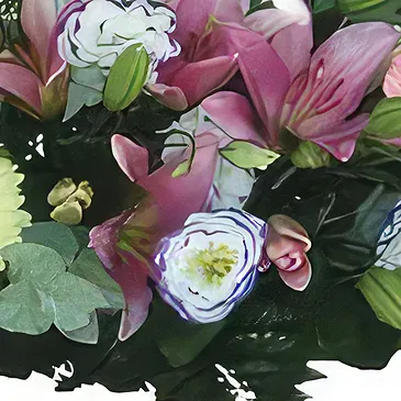 Sa Indioteria blomster- Divine Daisy Depot Blomsterarrangementer bukett