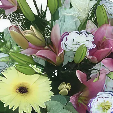 Sa Indioteria blomster- Divine Daisy Depot Blomsterarrangementer bukett