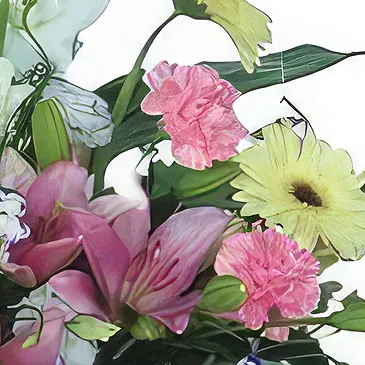 Sa Indioteria blomster- Divine Daisy Depot Blomsterarrangementer bukett