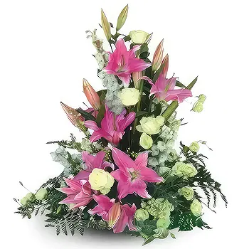 Sa Indioteria blomster- Allsidig valg Blomst Levering