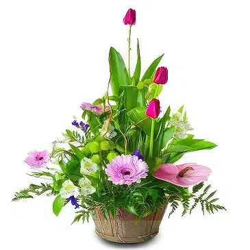 Sa Indioteria blomster- Hagegalla Blomsterarrangementer bukett