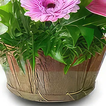 Sa Indioteria blomster- Hagegalla Blomsterarrangementer bukett