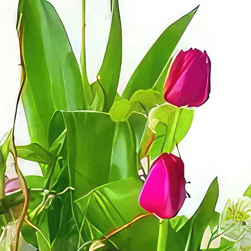 Sa Indioteria blomster- Hagegalla Blomsterarrangementer bukett