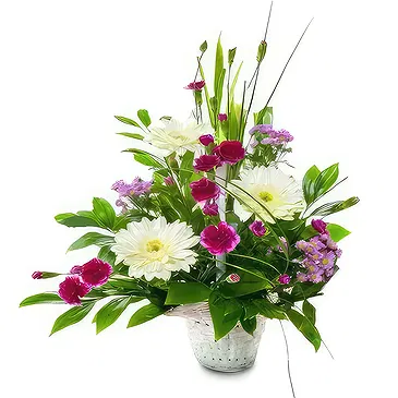 Sa Indioteria blomster- Blossom Haven Blomsterarrangementer bukett