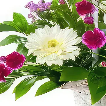 Sa Indioteria blomster- Blossom Haven Blomsterarrangementer bukett
