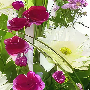 Sa Indioteria blomster- Blossom Haven Blomsterarrangementer bukett