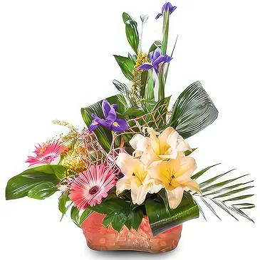 Sa Indioteria blomster- Radiant Roots Realm Blomsterarrangementer bukett