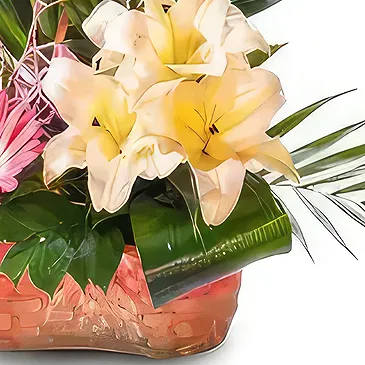 Sa Indioteria blomster- Radiant Roots Realm Blomsterarrangementer bukett