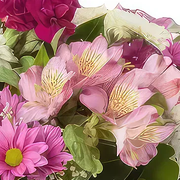 Sa Indioteria blomster- Pink Paradise Pavilion Blomsterarrangementer bukett