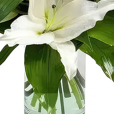 Sa Indioteria blomster- Radiance Realm Blomsterarrangementer bukett