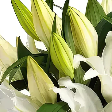 Sa Indioteria blomster- Radiance Realm Blomsterarrangementer bukett