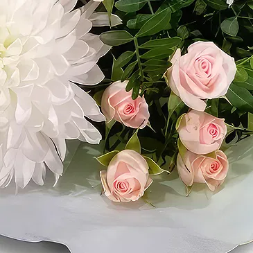 Sa Indioteria blomster- Rosa Overlook Blomsterarrangementer bukett