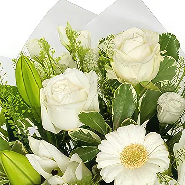 Sa Indioteria blomster- Rosenrød glede Blomsterarrangementer bukett