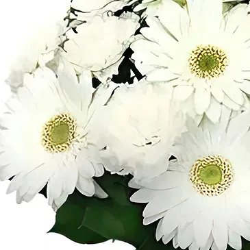 Sa Indioteria blomster- Verdant Ventures Blomsterarrangementer bukett