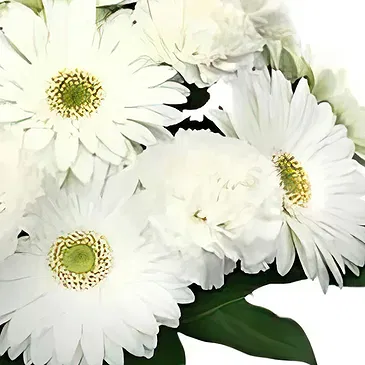 Sa Indioteria blomster- Verdant Ventures Blomsterarrangementer bukett