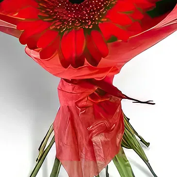 Sa Indioteria blomster- Rose Radiance Realm Blomsterarrangementer bukett